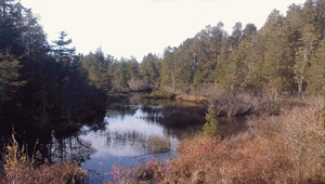 Westecunk Creek featured image