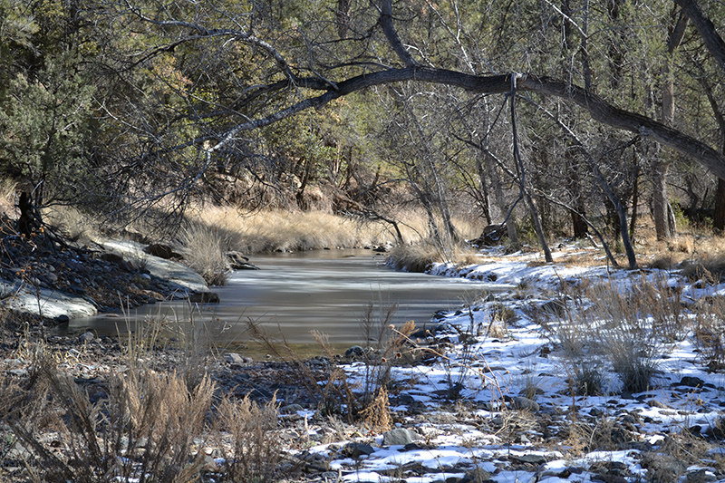 Bear Creek featured image