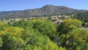Tijeras Canyon featured image