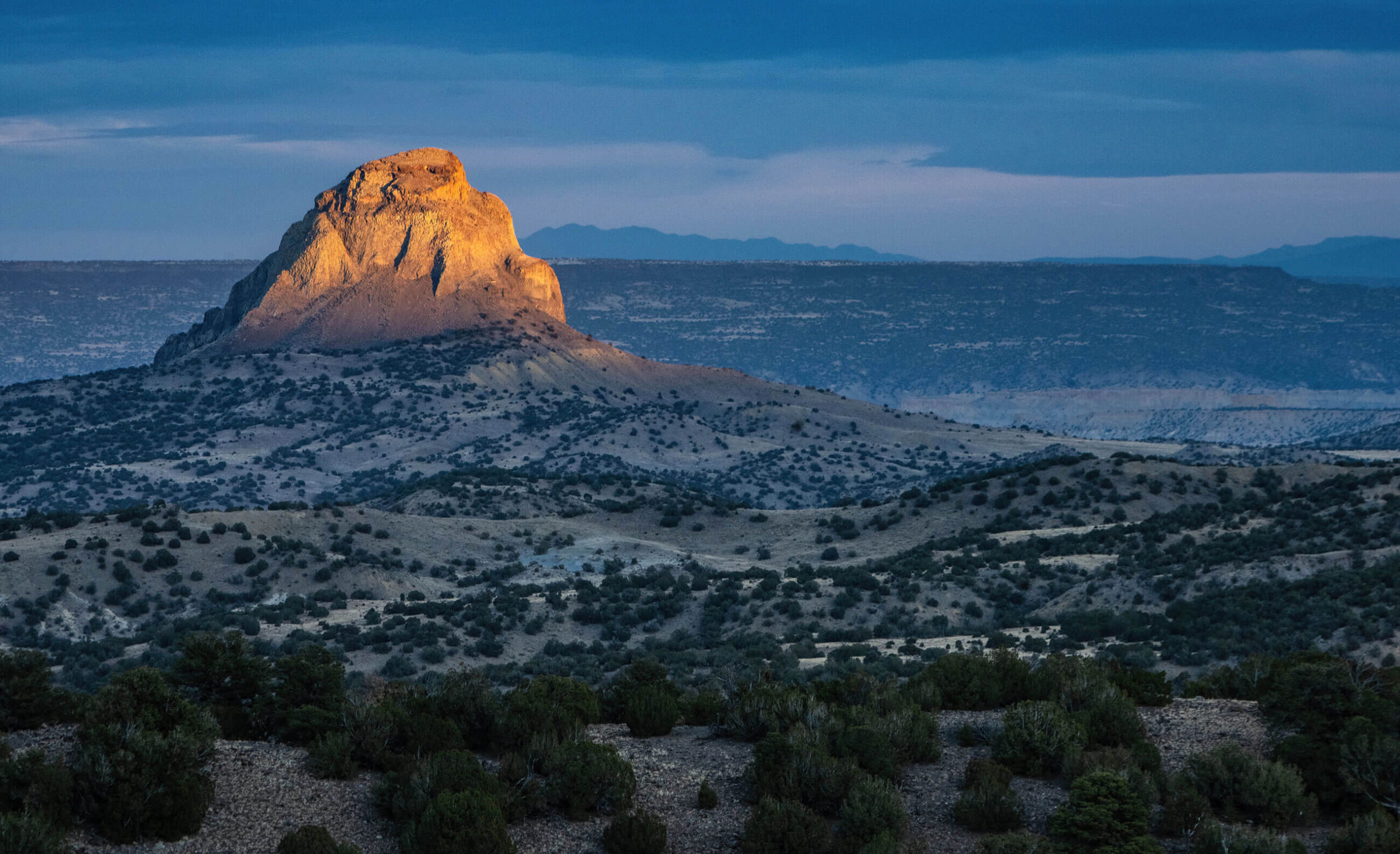 A big win for people and wildlife in New Mexico