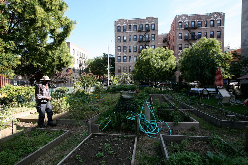 Community Gardens featured image