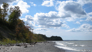 Lake Erie Bluffs featured image