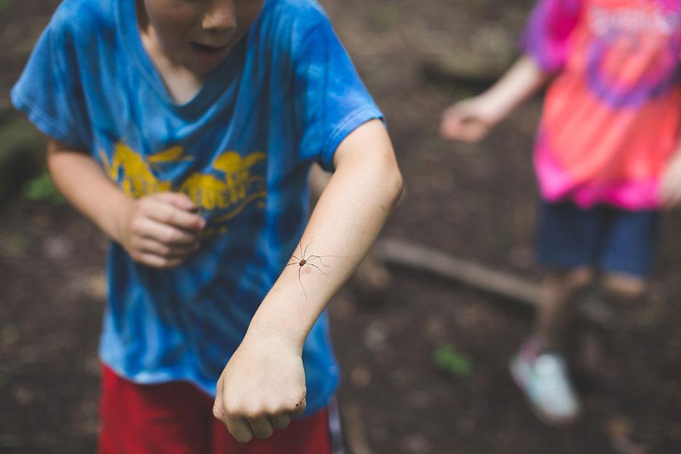 The Community Schoolyards model, which encourages nature play and hands-on learning, dovetails with an outdoor education movement that has spread from Scandinavia to the United States.