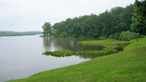Wingfoot Lake featured image