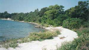 Middle Bass Island Preserve featured image