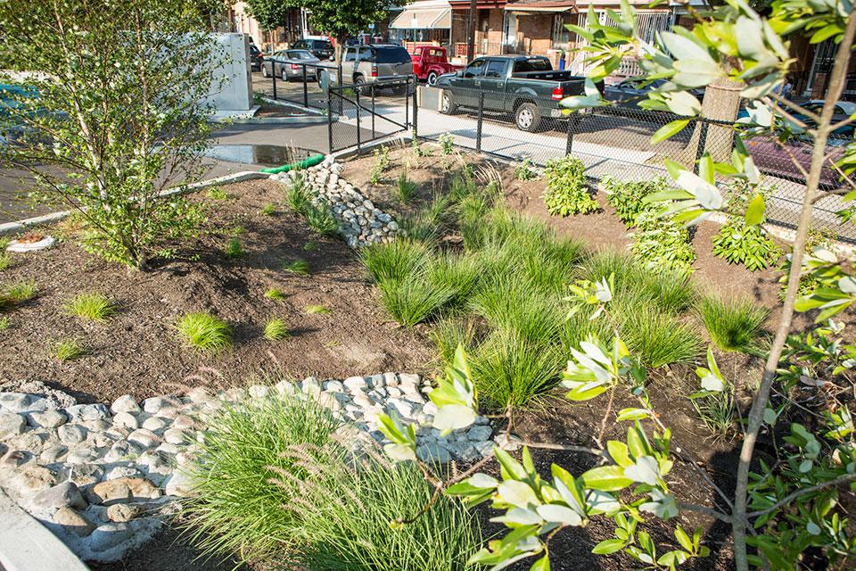 Green infrastructure like trees, rain gardens, and bioswales prevents flooding on schoolyards, making them available for play throughout the year. Those features also capture stormwater during rain events, improving water quality in local rivers.