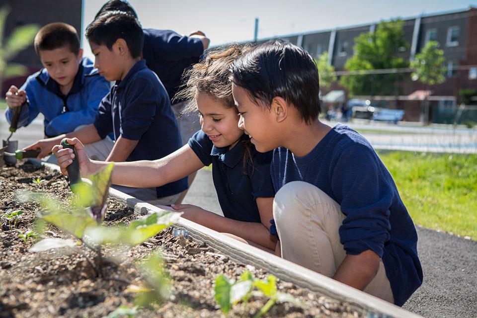The Community Schoolyards model gives students a range of spaces to explore. There are hands-on garden beds; places for active recreation, like basketball courts and climbing structures; and quiet areas for reading and socializing.