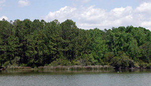 Robinson at Crystal Lake featured image