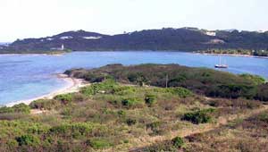 Salt River Bay National Historical Park and Ecological Preserve, St. Croix featured image