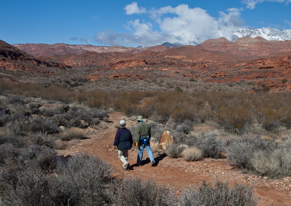 Red Cliffs National Conservation Area featured image