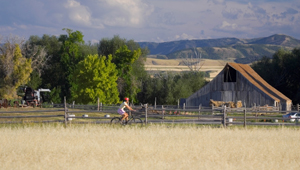 Working Lands of Northeast Utah featured image