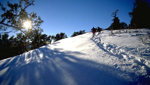 Summit Park featured image