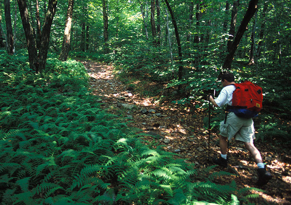 Appalachian Trail Corridor, Stamford featured image