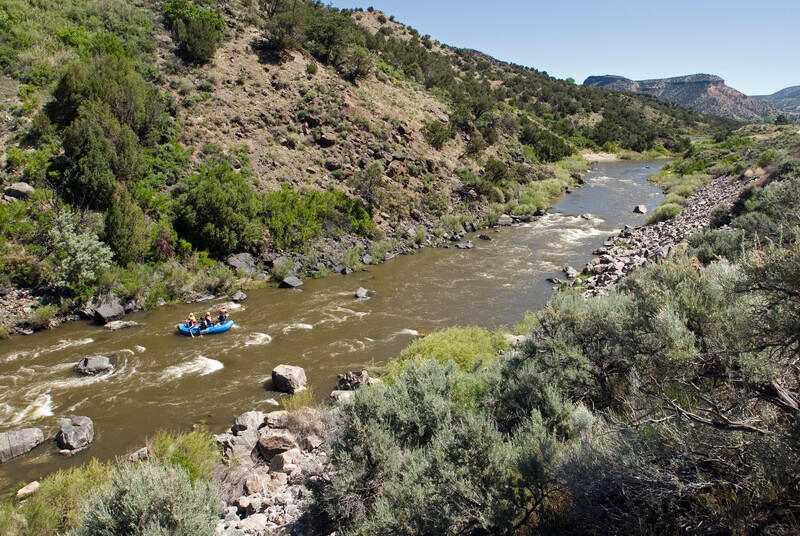 Rio Grande Protection featured image