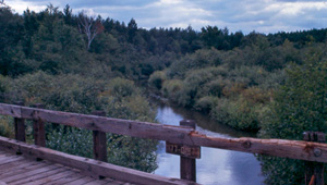 Venison Creek featured image