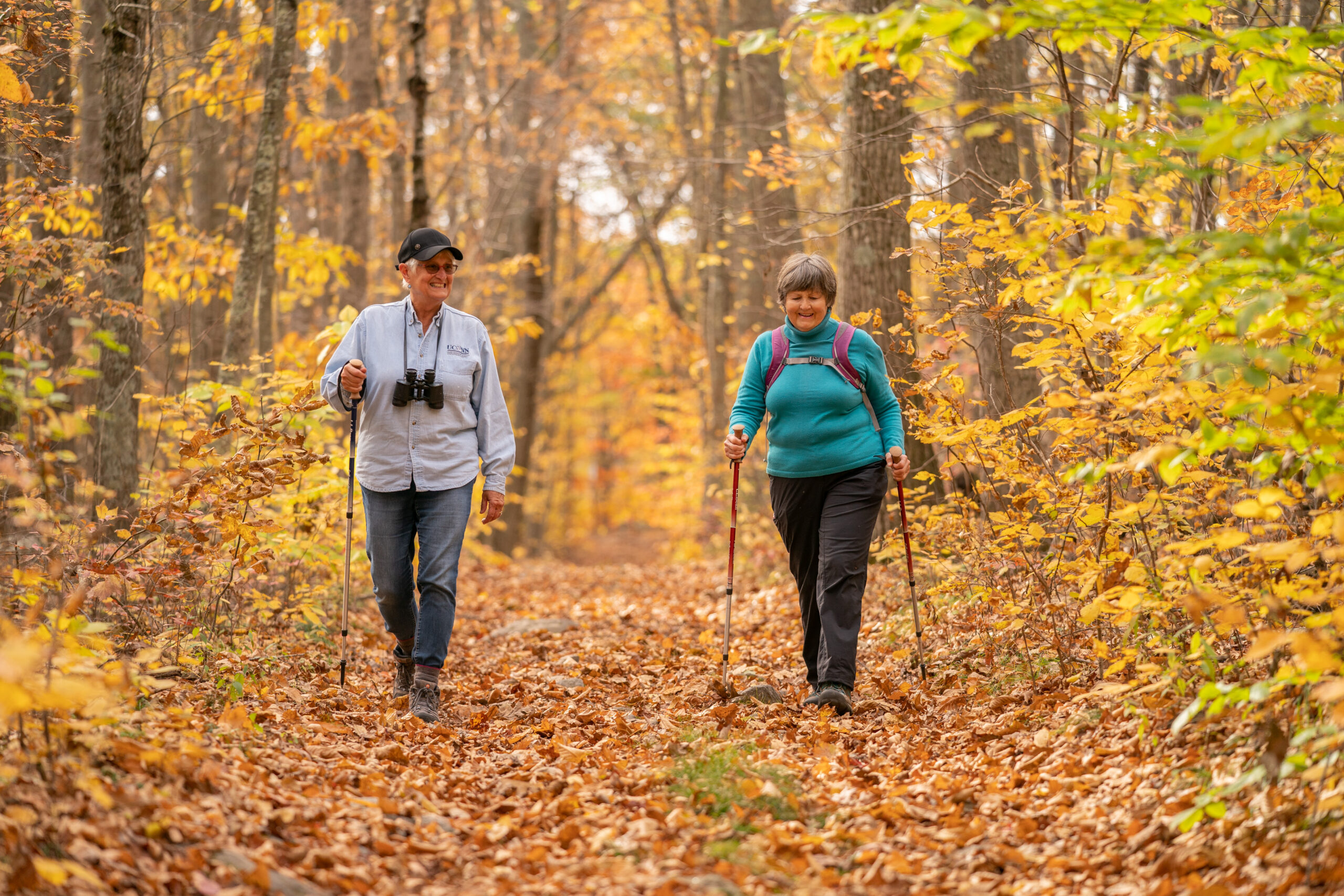 Two people walking through a wooded area in the fall.