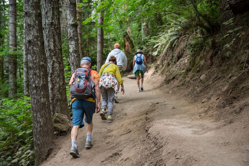 A group of people hiking on a trail in the woods.