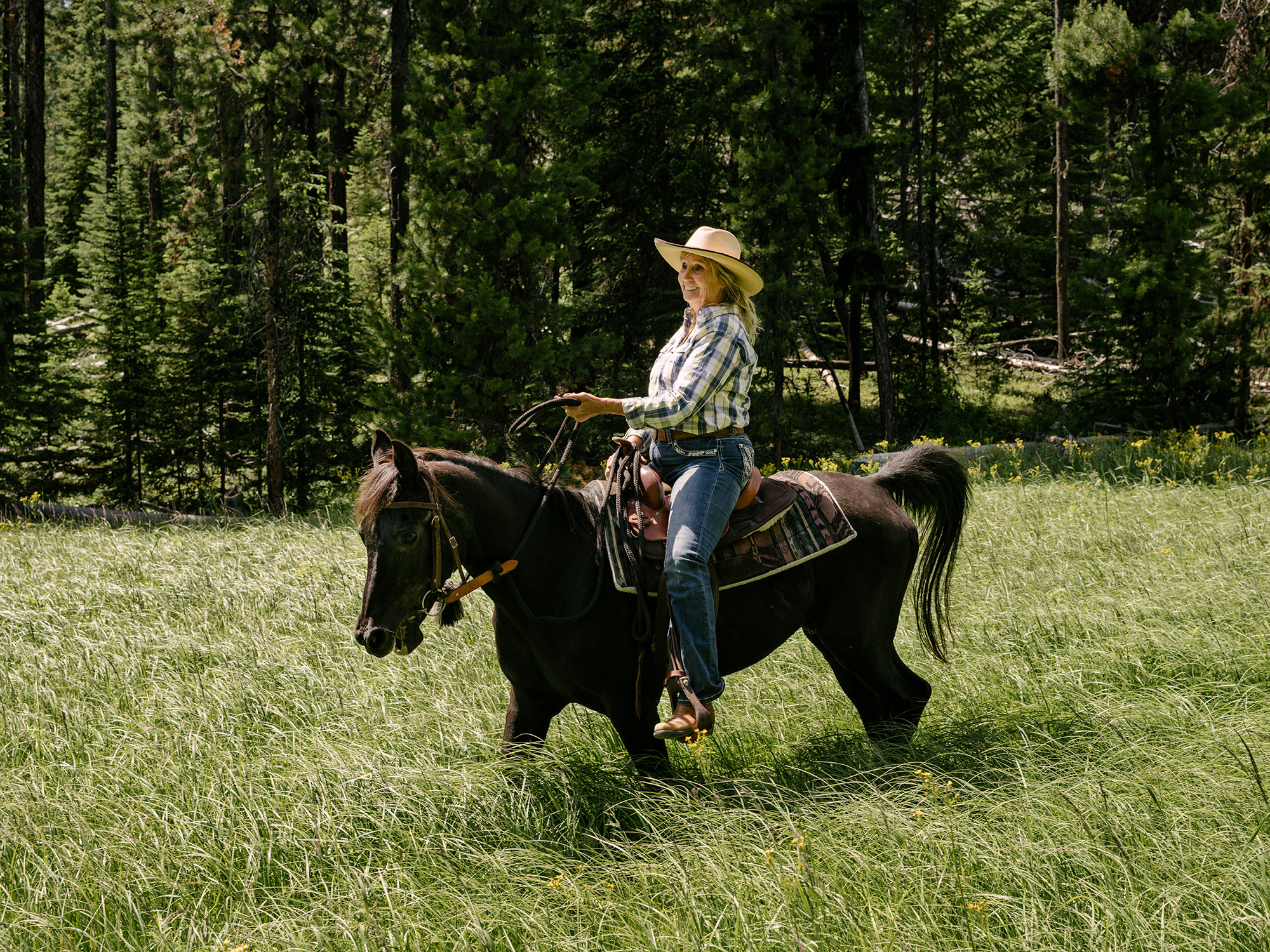 A woman riding a horse in a grassy field.