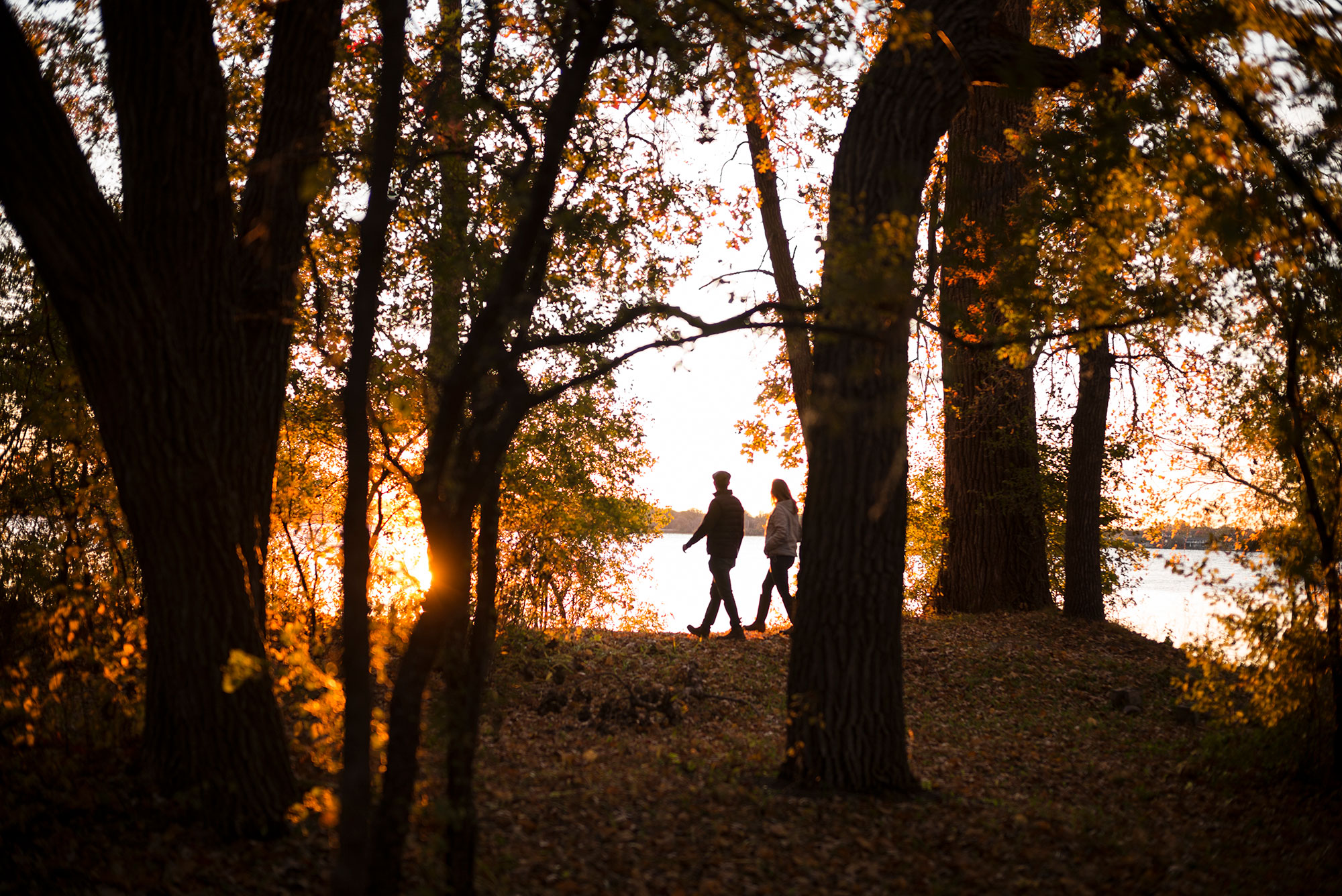 A couple walking through the woods at sunset.