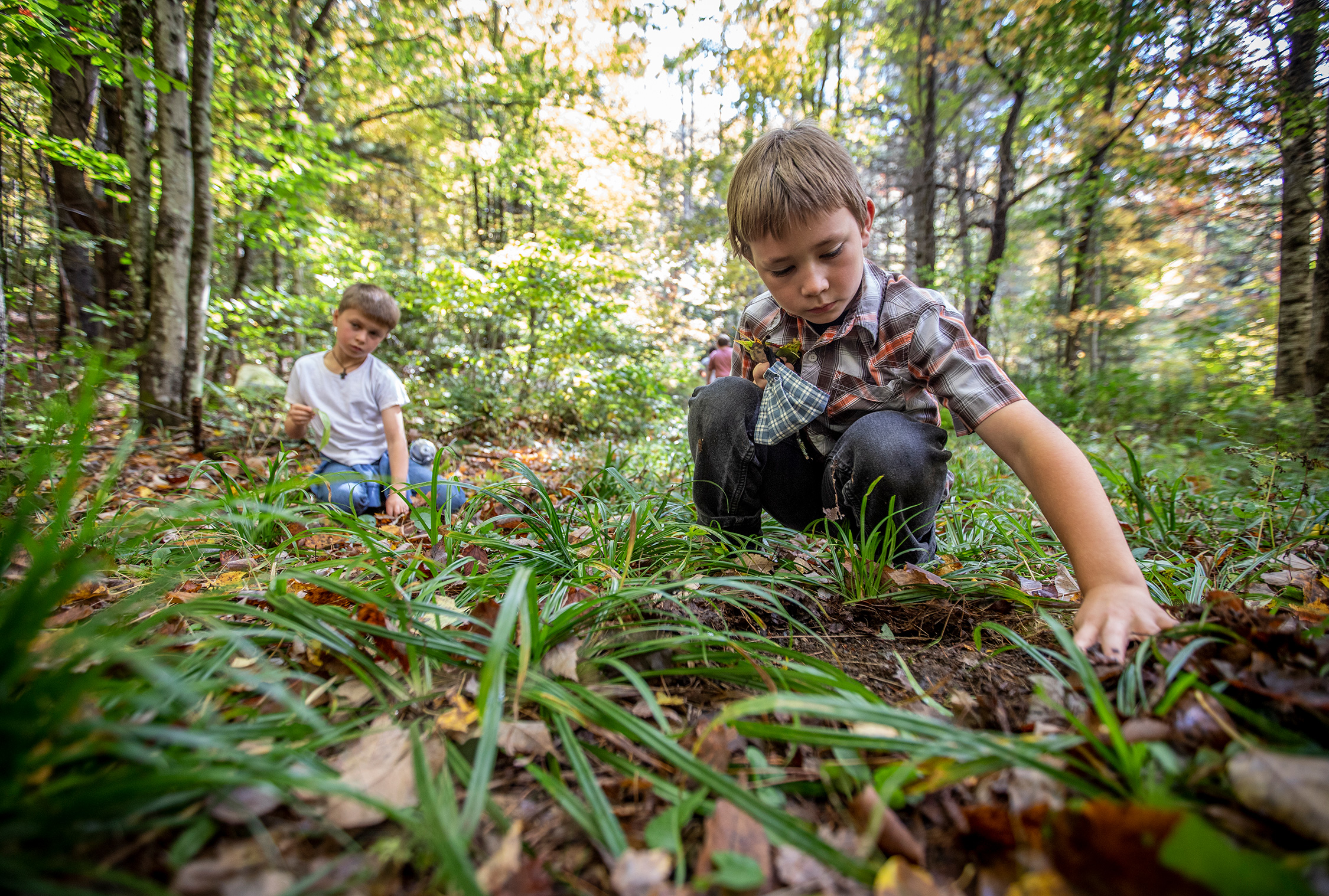 Two boys kneeling down in a wooded area.