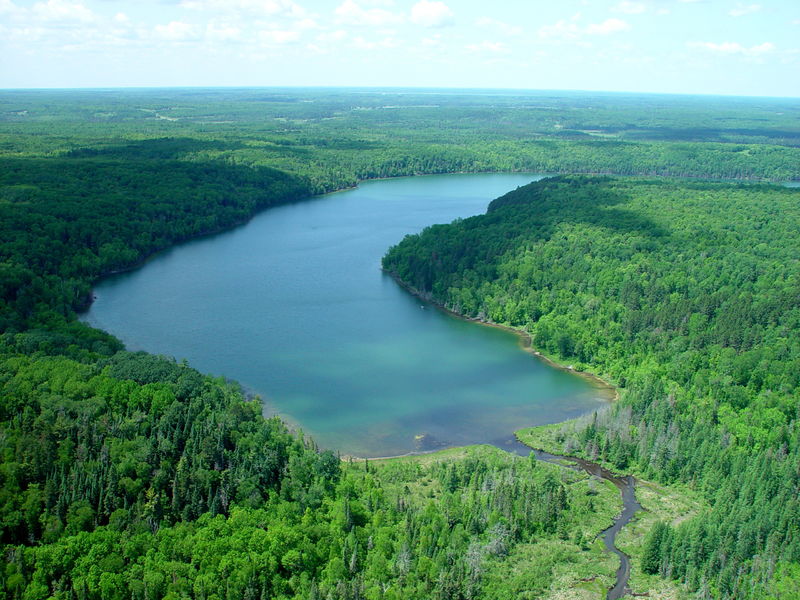 An aerial view of a lake in a forest.