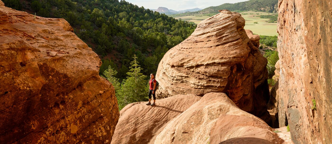 A man is standing on a rock in a canyon.