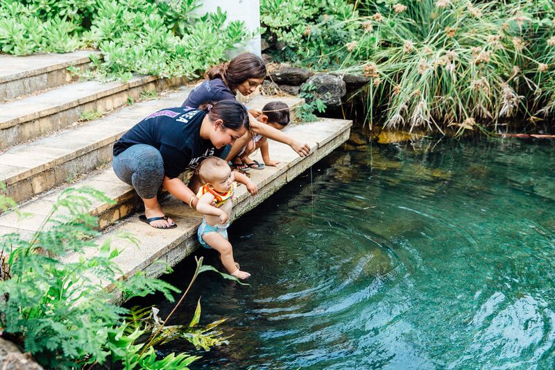 A family is playing in a pond with a small child.